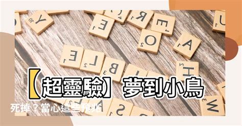 夢到小鳥死掉|夢見小鳥死掉了是什麽意思